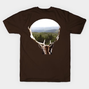 His Domain T-Shirt